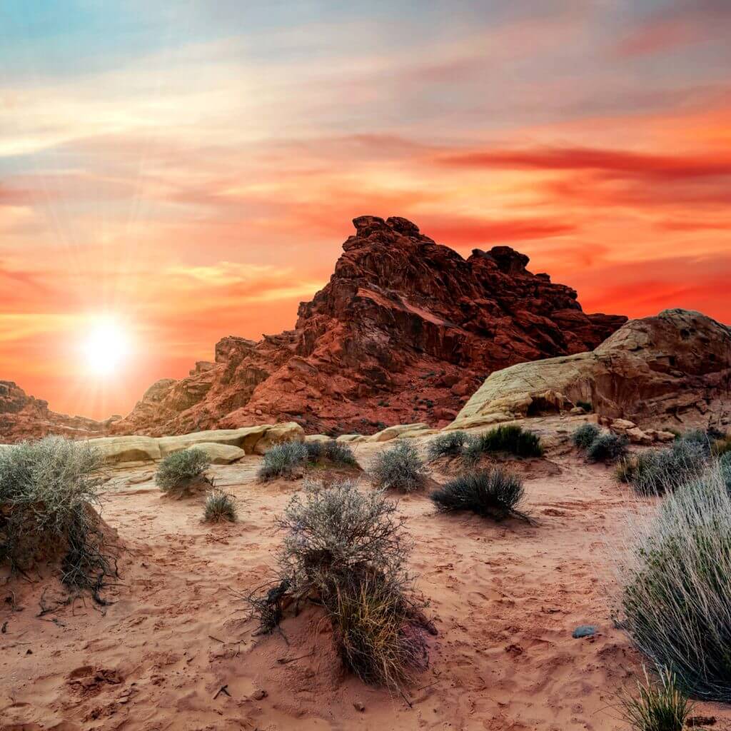 What's on tap at The Growler Guys