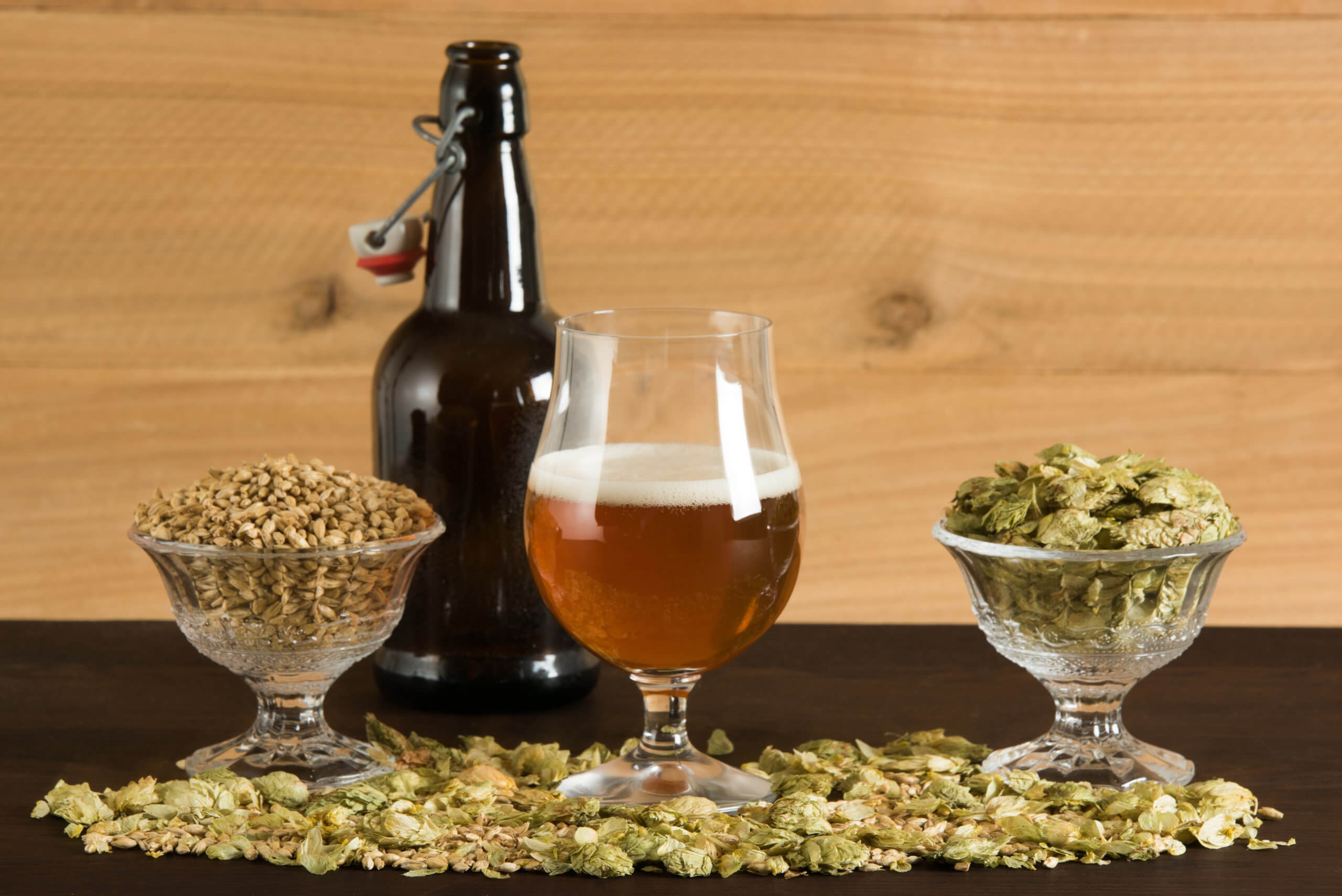 understanding-the-4-main-ingredients-of-beer-the-growler-guys