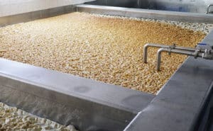 high-gravity brewing